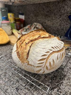Sour Dough Bread