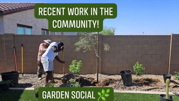 Tree installation within Maricopa service