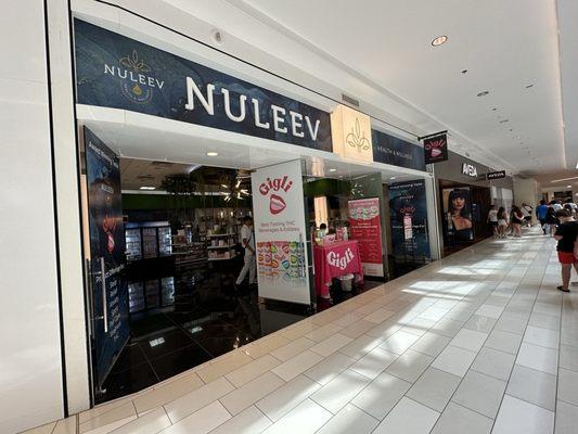 Nuleev