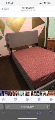 Buzy Bee Home Services