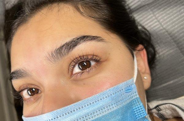 Elegant Brows & Beauty