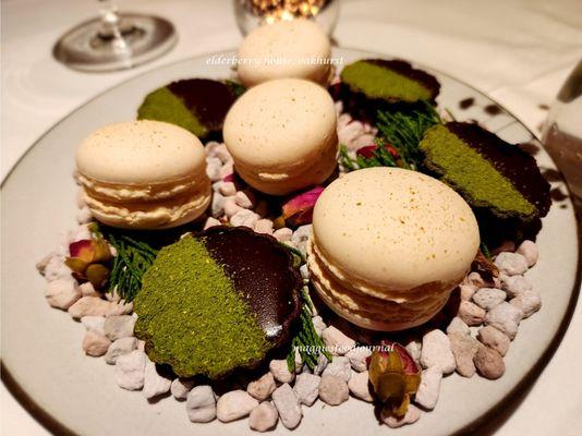 The Elderberry House