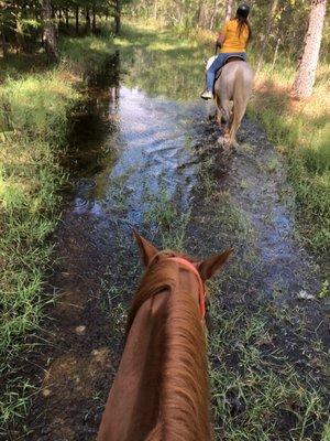 Ruxton’s Ranch Rides
