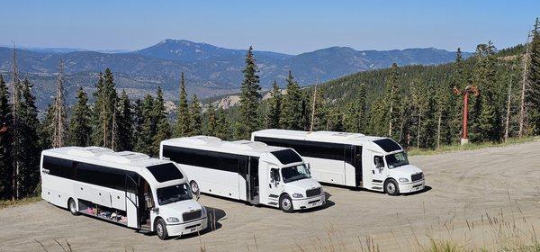 Denver 24/7 Limo
