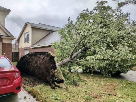 Easy Roof & Remodeling