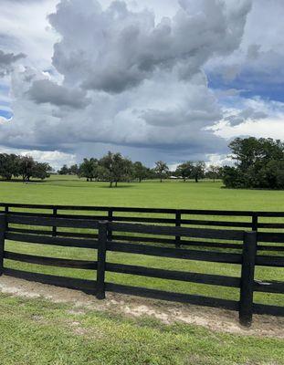 One of the beautiful pastures on the way into Two Hawk Hammock
