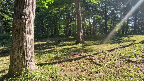 Edwards Tree Service