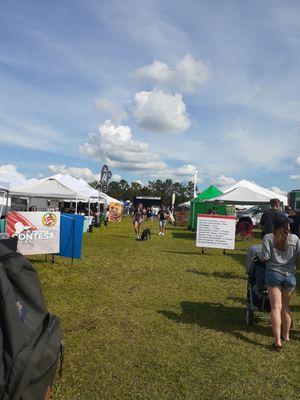 Wesley Chapel Taco Festival