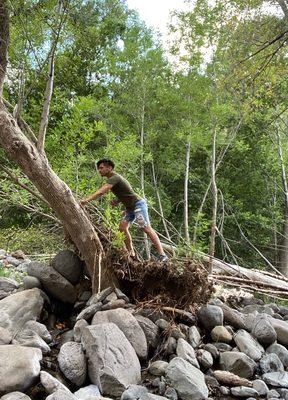 Elevate Face and Body