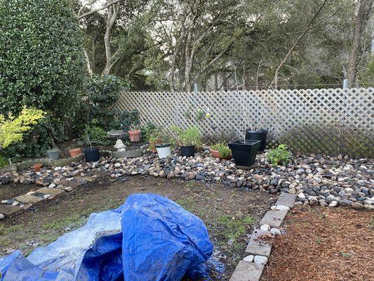 A Juarez Construction & Tree Service