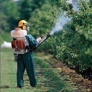 One Tree Pest Solutions