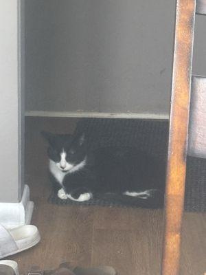 Bardens Animal Clinic