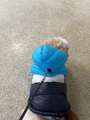 The vet is great! I wish she had more reliable help but she really cares about your pet!