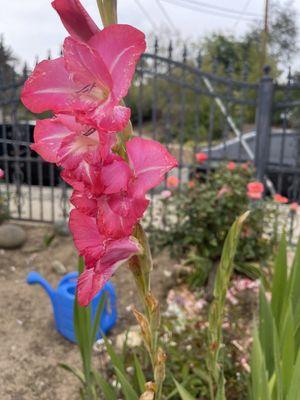 After Hours Emergency Dental Care