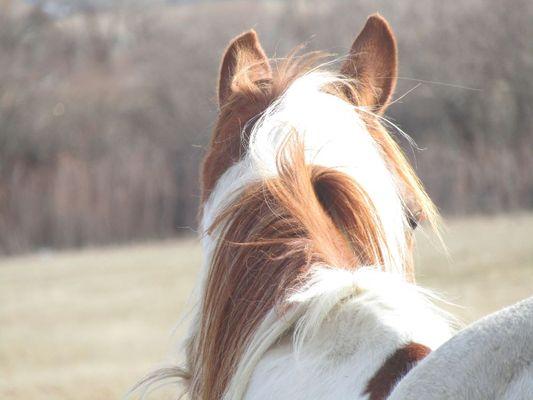 Winona Becker Photography