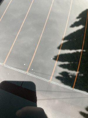 Capital Tint and Graphics