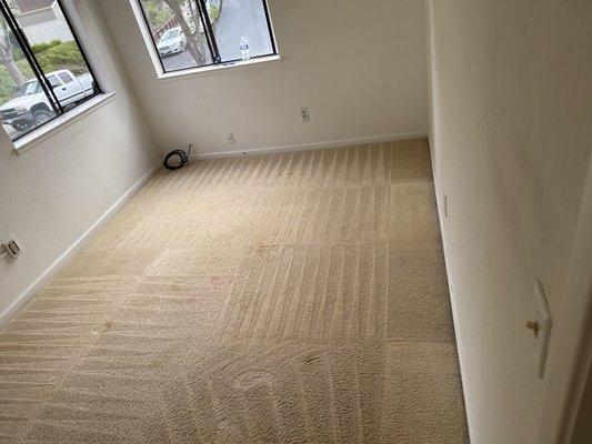 ALF Carpet and furniture cleaning