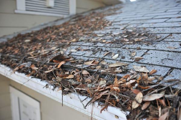 Clogged gutter that NEEDS Gutter Helmet! You won't have to clean this out ever again!