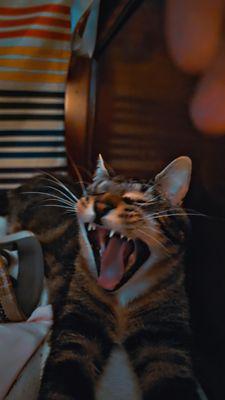 Alaqua Animal Refuge