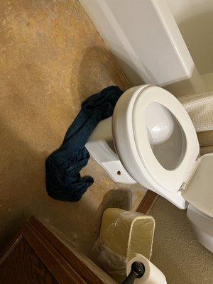 Personal bath towels used to clean up septic back up