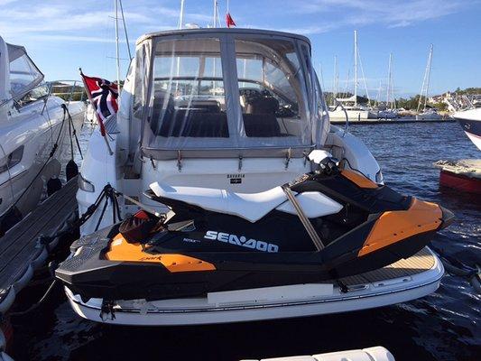 ProDav Swivel Davit System