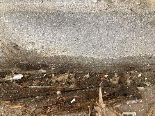 Charles Rutenberg Realty The South Tampa Team