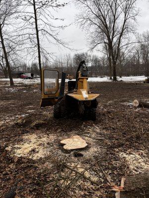 Environmental Ground Clearings