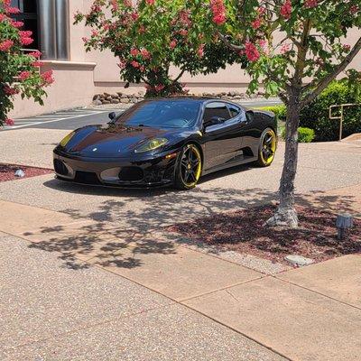 Lamin-x Protective Films