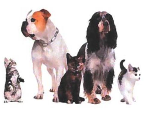 Loving Touch Pet Services