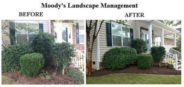 Moody's Landscape Management