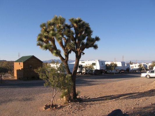 Meadview Rv Park & Cozy Cabins