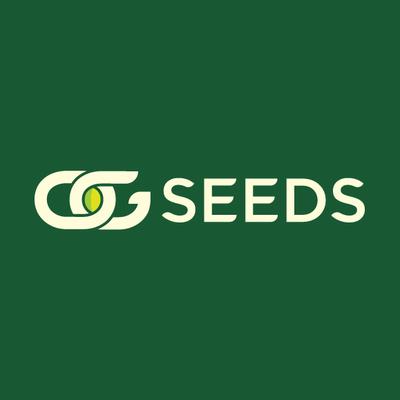 OG Seeds