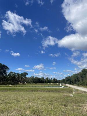 Cohen Campbell Fisheries Center