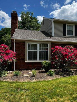 We Got You Covered Painting and Contracting
