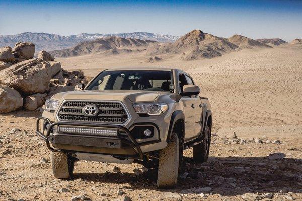 Tacoma Front Bumper Guard w/Fog Light Hoops