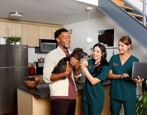The Vets - At-Home Pet Care in Chicago