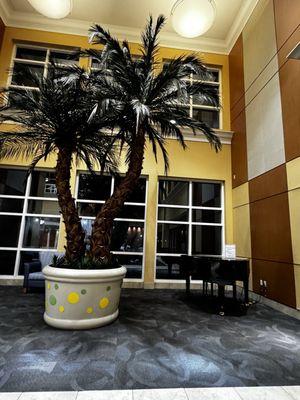 Memorial Hospital Miramar