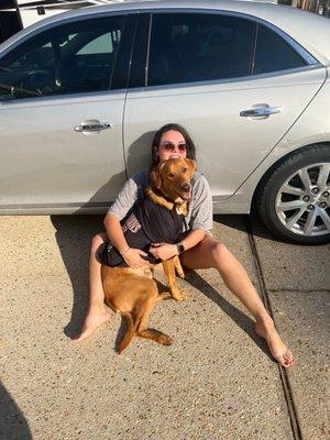 Premier Veterinary Care and Resort