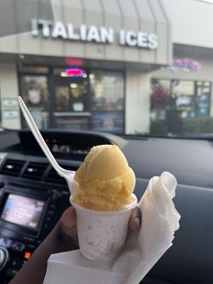 Cecilies Gourmet Italian Ices