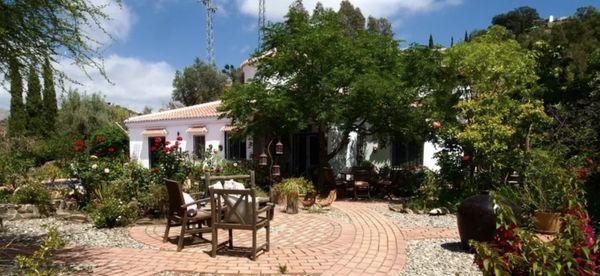 Lisa Jacobs Mongiello - United Real Estate