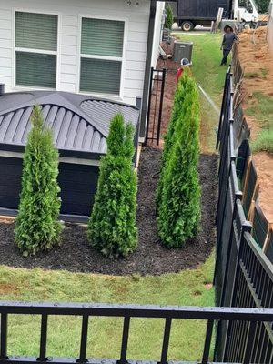 Cifuentes Hardscapes & Landscapes