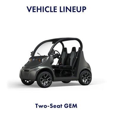 Two seat EV cart