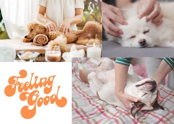 Healthy K9 Companion