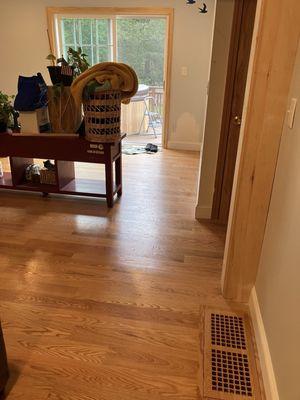 Tran's Floor Services