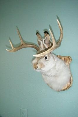 Country Mall Antiques