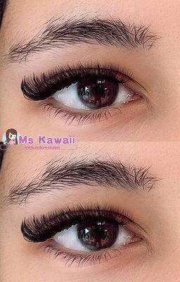 Ms Kawaii Eyelash - Whittier