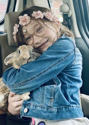 Kersting Veterinary Clinic & Bird Hospital