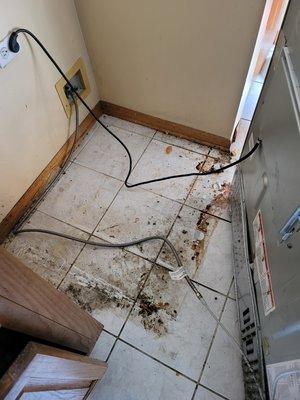 Clean Creations Cleaning Services