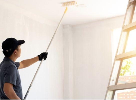Professional Painting Services