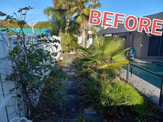 French Drain King Landscape Designer & Lights